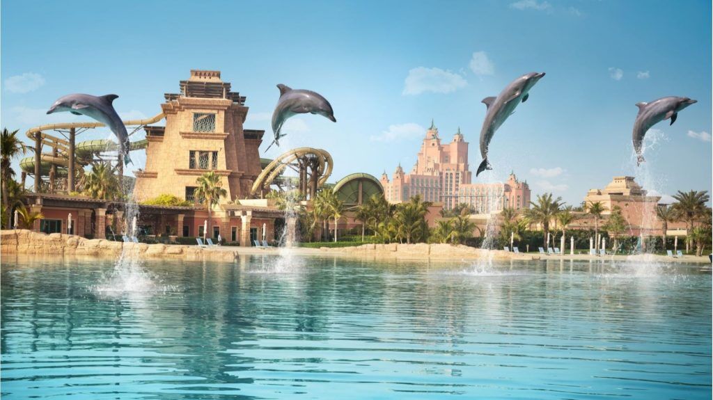 Atlantis The Palm | Atlantis Dolphin Meet & Greet Experience for 1