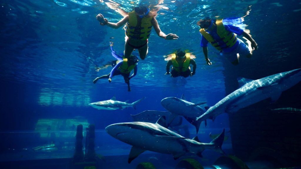 Atlantis Aquaventure Shark Snorkel