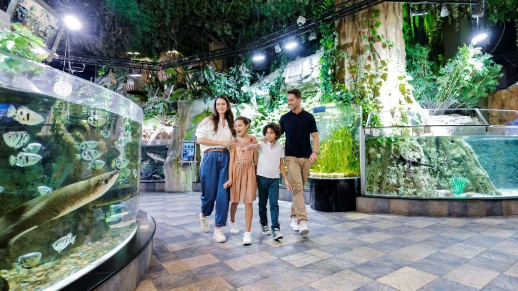 Dubai Aquarium & Underwater Zoo | Ultimate Experience