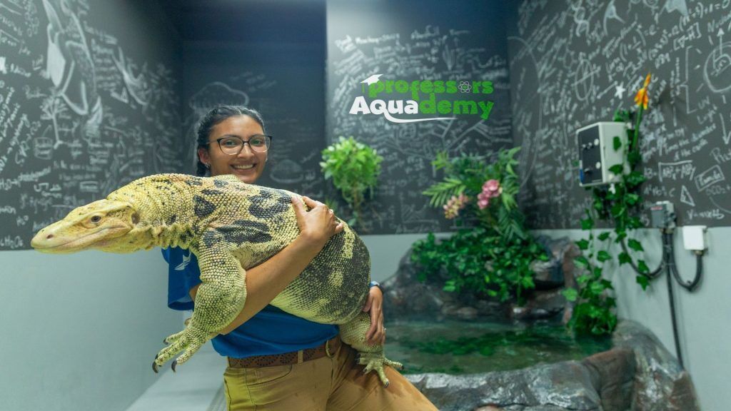 The National Aquarium Abu Dhabi - Beyond The Glass Experience