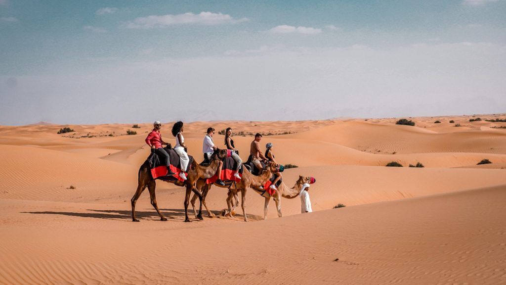 Camel Ride Experience