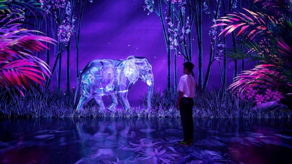 ARTE MUSEUM DUBAI - VIP Package