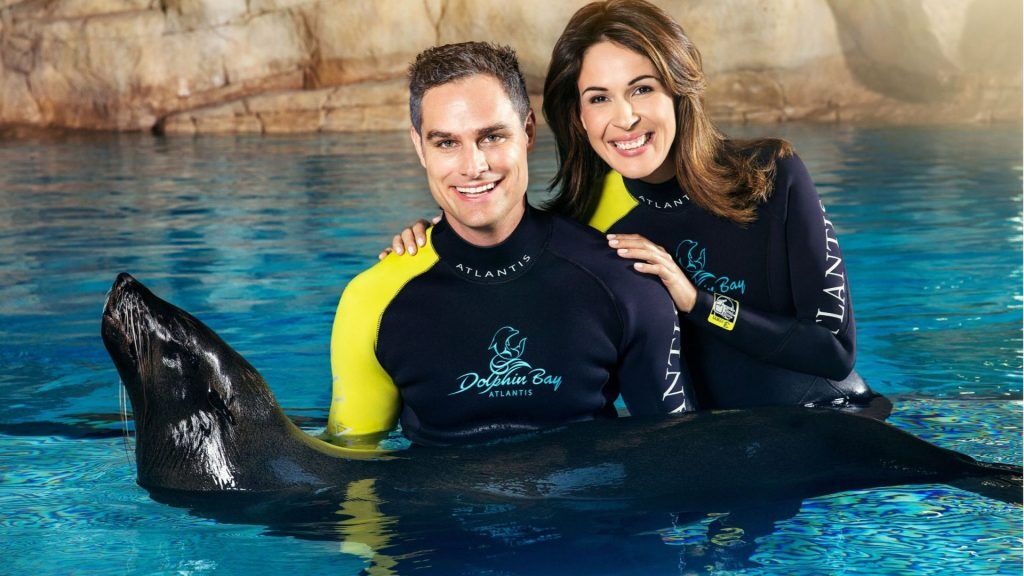 Atlantis Sea Lion Encounter