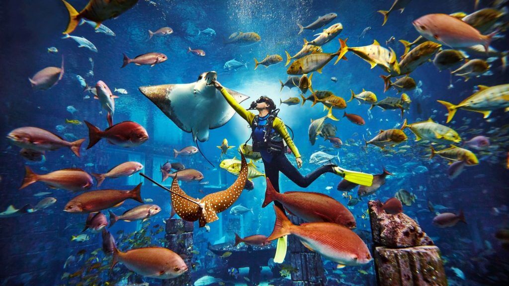 Atlantis Explorer Certified Scuba Dive