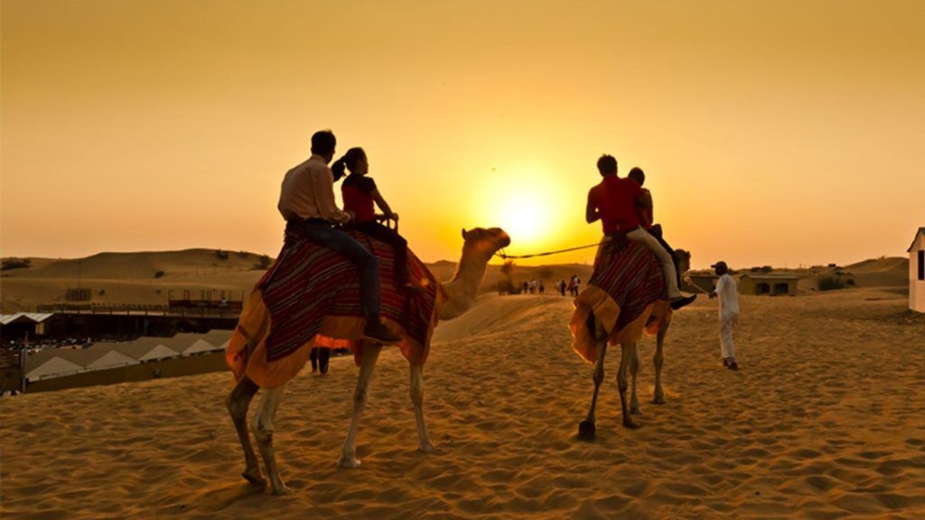Camel Trekking Tour in Abu Dhabi