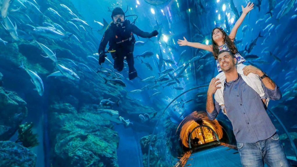 Dubai Aquarium + Penguin Cove with Shared Transfers