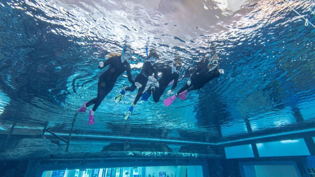 Discover Snorkelling