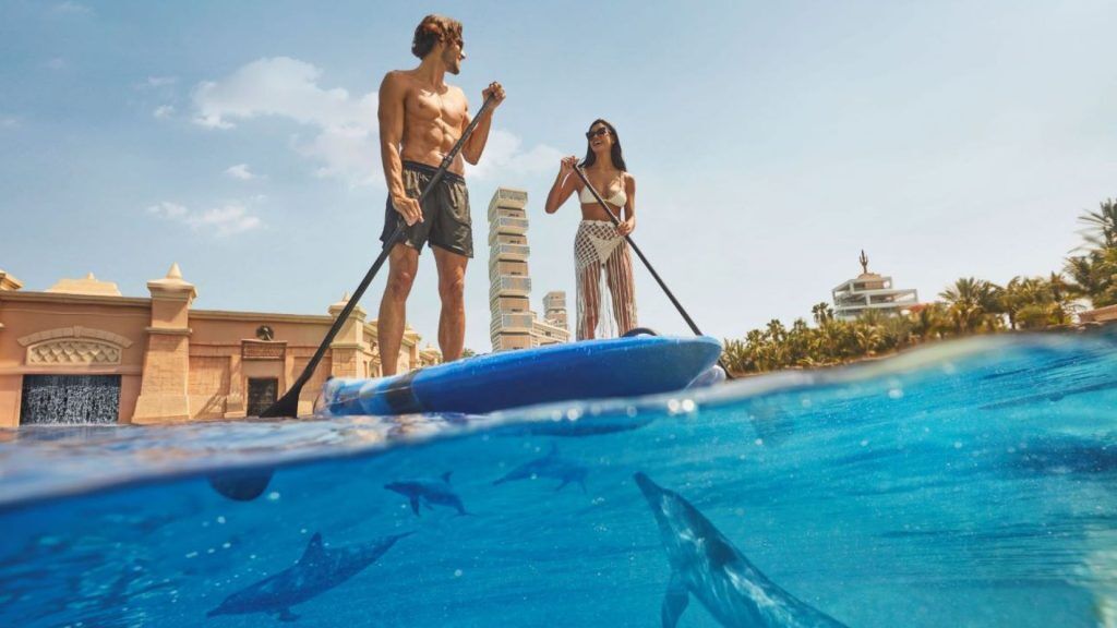 Atlantis Dolphin Paddle