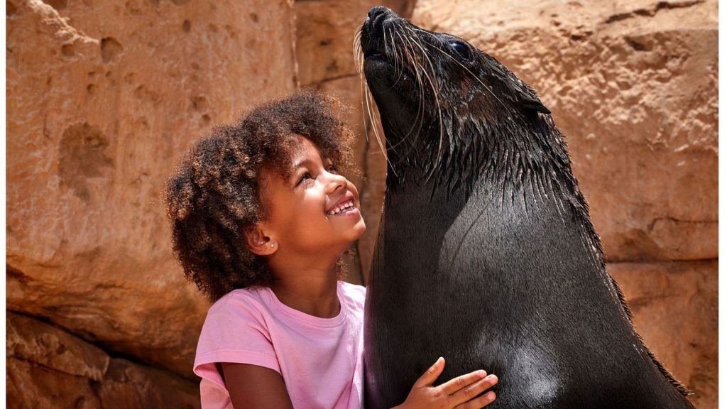Atlantis Sea Lion Meet & Greet
