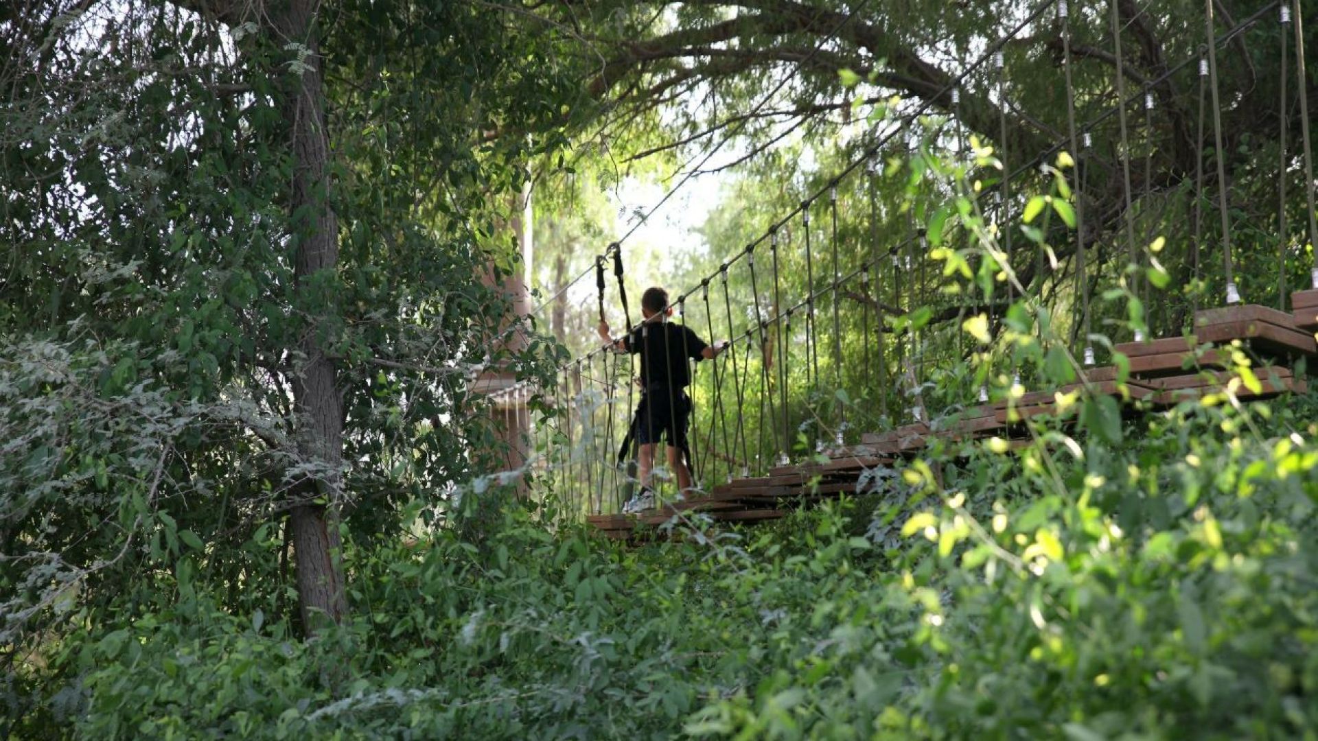 Rope Ranges Zipline Park: Rope Ranges (From 1.15m Tall) - FOMO App UAE